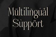 Nebiard Classic Serif Font, a Serif Font by Storytype Studio (Thumbnail 11 of 15)