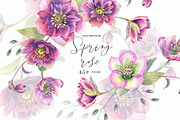 Spring Rose, an Illustration by JennyColorArt (Thumbnail 1 of 8)