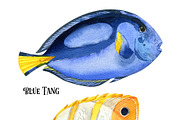 Watercolor tropical fish, an Animal Illustration by KatBranchArt (Thumbnail 2 of 6)