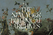 Idealist Serif, a Serif Font by Nicky Laatz (Thumbnail 5 of 34)