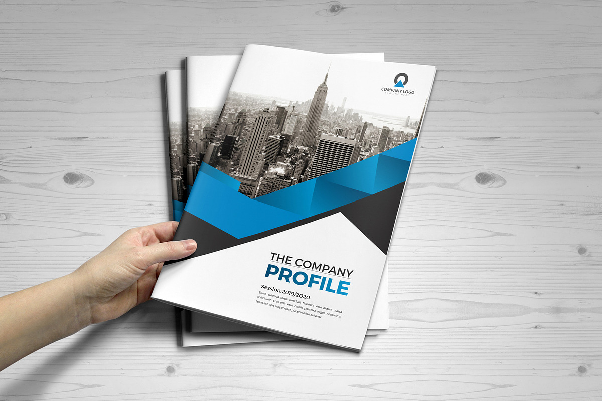 Company Profile Template V5, a Brochure Template by JanySultana (Photo 12 of 14)