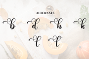 Pumpkin | Script Font, a Handwritten Font by Scratchones (Thumbnail 8 of 9)