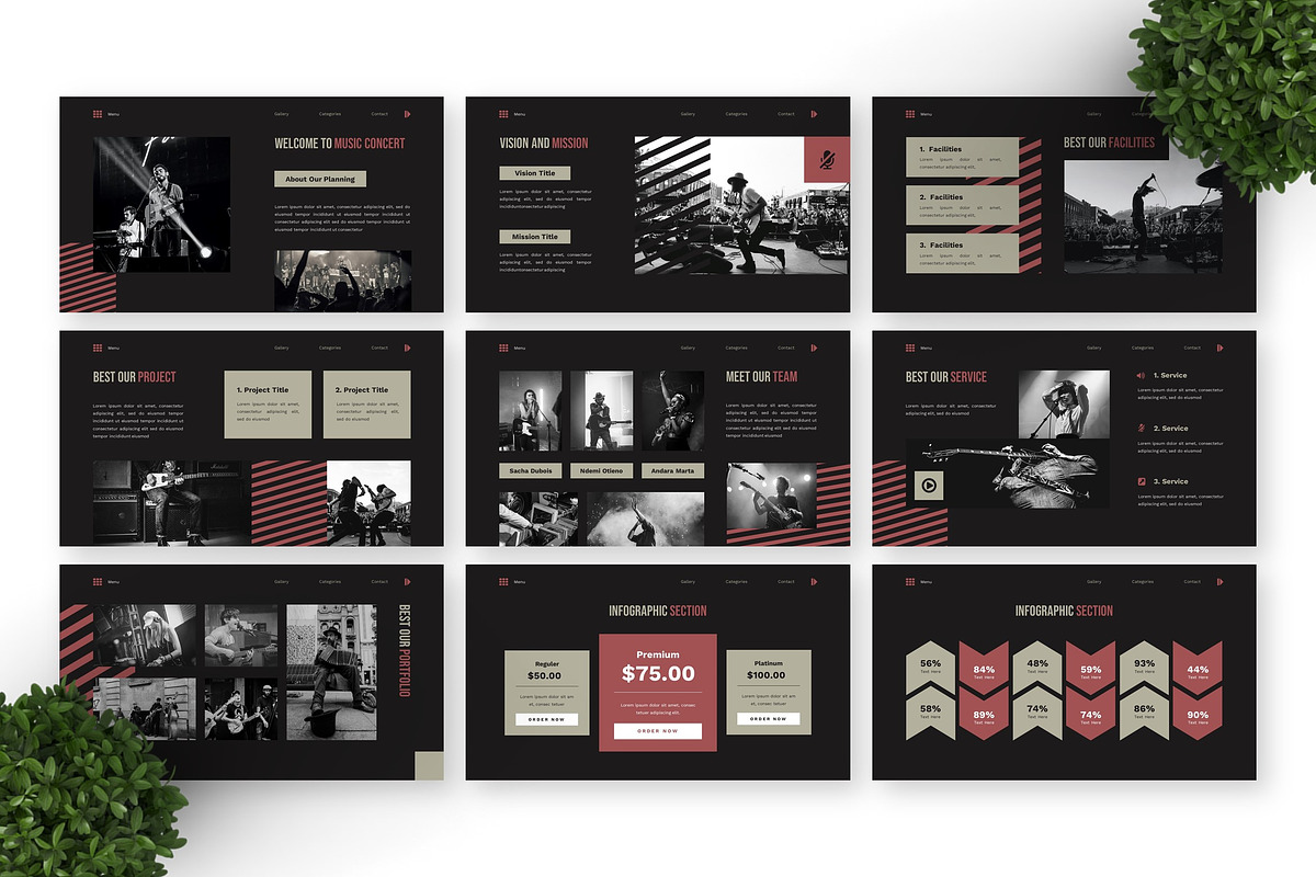 Music Concert - Musical Keynote preview 6
