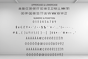 Blank Space | Script Font, a Script Font by Scratchones (Thumbnail 7 of 8)