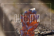 Mibelle condensed, a Font by Fonts by ateliervonau (Thumbnail 2 of 5)