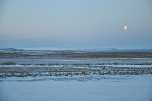 Icelandic Moonlight at Dusk