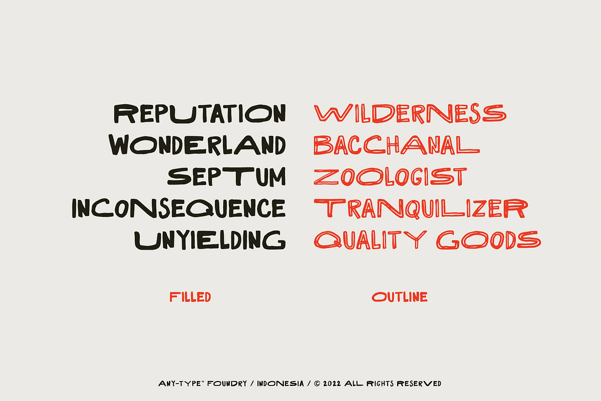 Dakota Rough Sans + Bonus, a Sans Serif Font by Any-Type® Foundry (Photo 5 of 7)