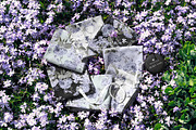 Fabrics Arranged in Circle Mockup, a Household Mockup by creatsy5 (Thumbnail 3 of 5)