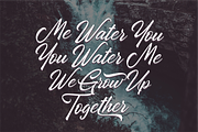 California Dream Brush Fonts, a Script Font by 50Fox (Thumbnail 8 of 14)