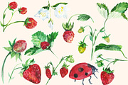 Watercolor Strawberry Clip art, a Food Illustration by DollyPotterson (Thumbnail 4 of 8)