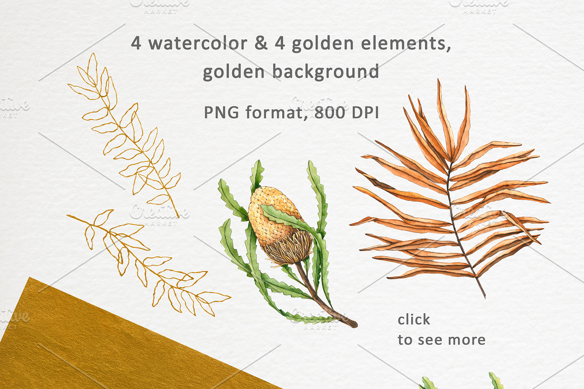 Banksia & palm leaves. Watercolor, a Pattern Graphic by Ola_Vola (Photo 2 of 7)