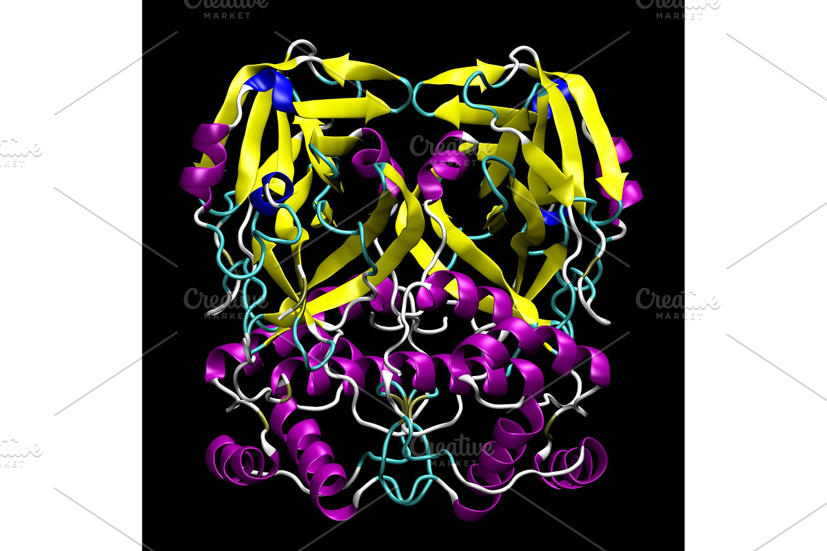 3D structure of coronavirus SARS-CoV, a Healthcare Illustration by Leonid Andronov