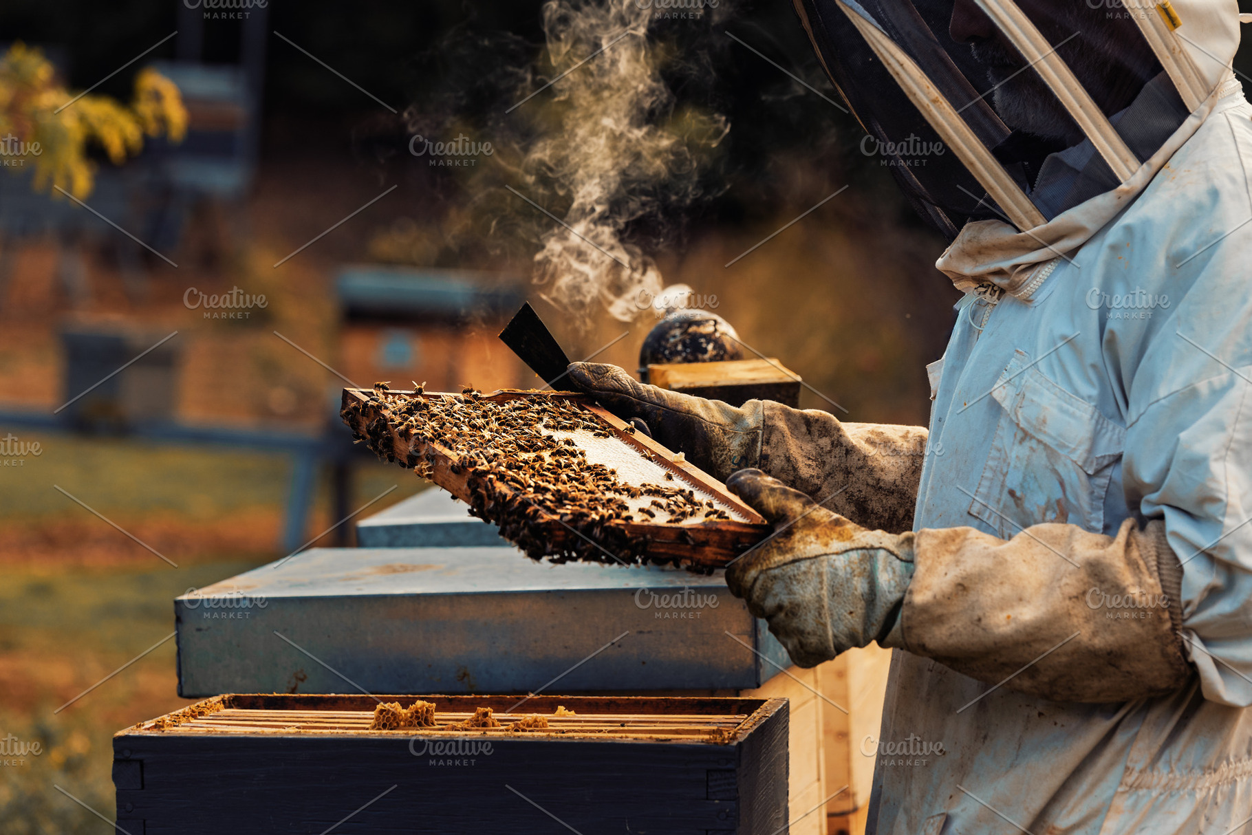 Beekeeper inspecting an active hive, a Person Photo by Perpis