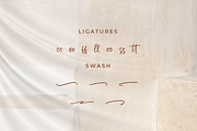 Shènttany, a Script Font by Integritype Studio (Thumbnail 11 of 15)
