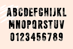 Wild One - A Wild Font Family