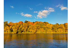 Bright, colorful autumn forest by, a Nature Photo by Tati_Kli