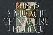 Daleant - Serif Font (10 Fonts), a Serif Font by Maculinc Type (Thumbnail 7 of 18)