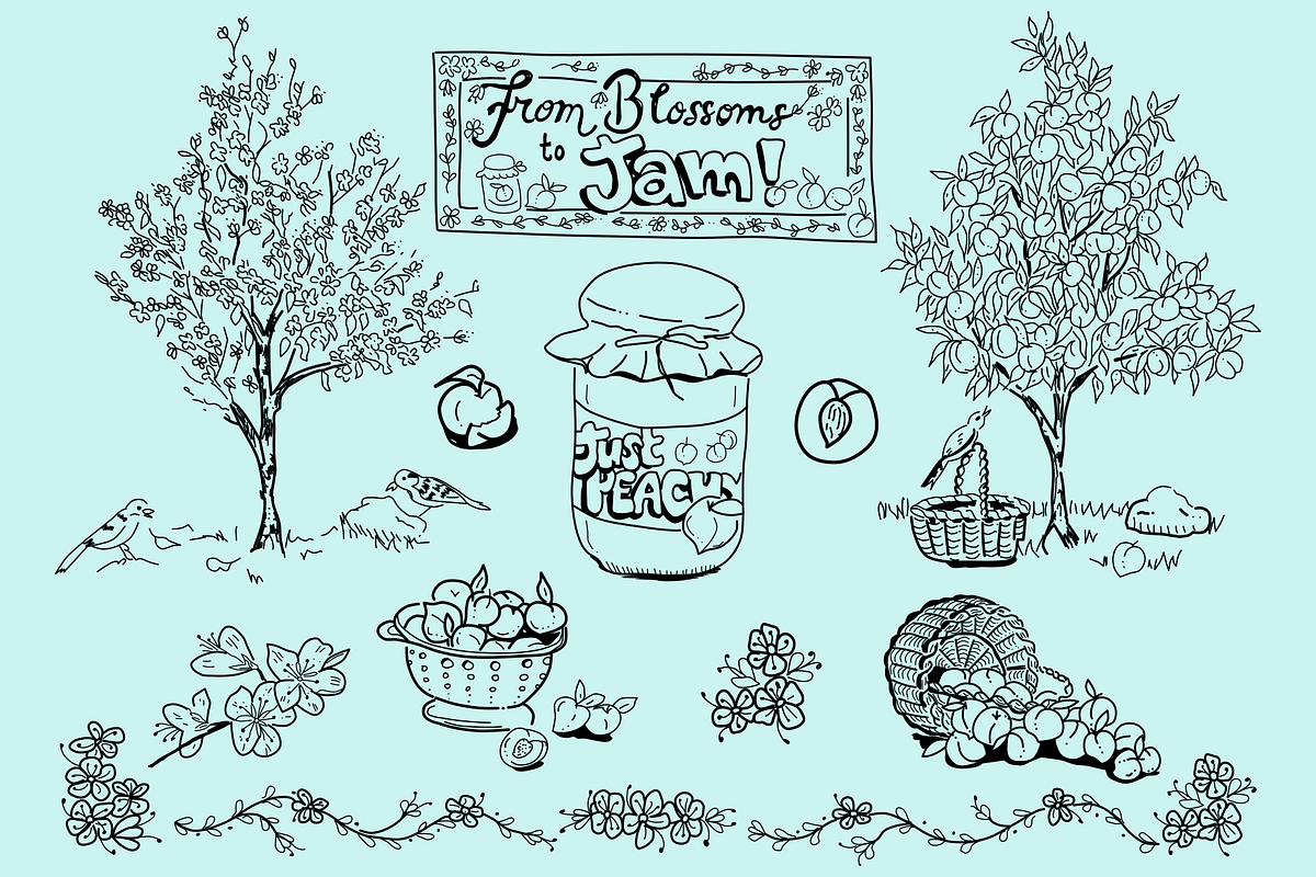 From Blossoms to Jam Illustrations, a Food Illustration by AJ Doodles (Photo 3 of 17)