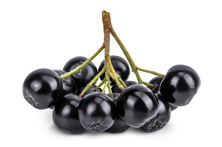Chokeberry isolated on white