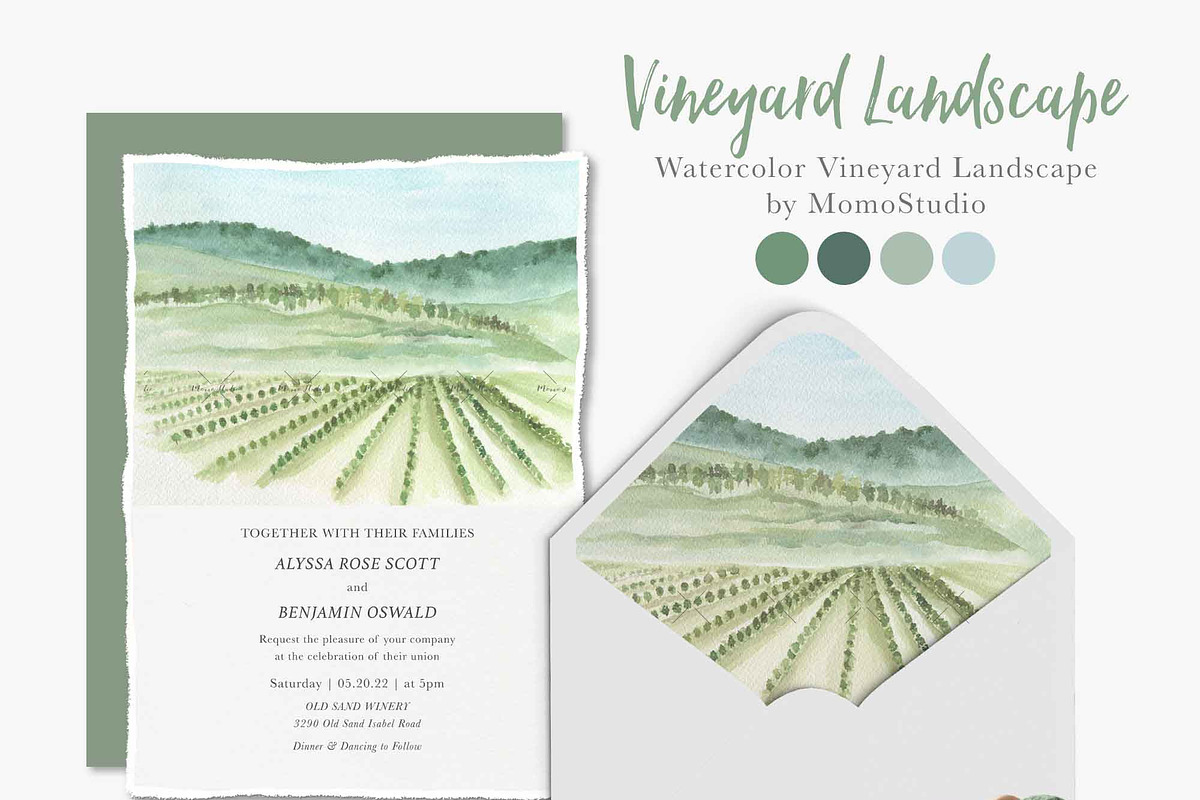 Watercolor Vineyard Elements, an Illustration by Momo Studio (Photo 9 of 16)