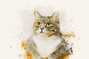 Pet Watercolor Effect Photoshop, an Action Add-On by liptouse (Thumbnail 8 of 10)