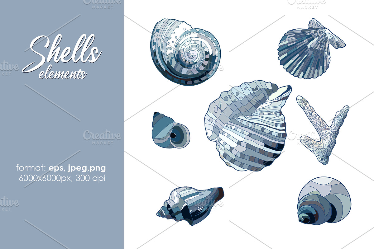 Seashells patterns collection, a Pattern Graphic by Sam2211 (Photo 9 of 13)
