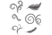 Vector feathers: patterns, a Graphic by lycka (Thumbnail 5 of 5)