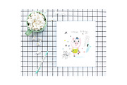 Pets & Doodles, an Animal Illustration by Lera Efremova (Thumbnail 8 of 8)