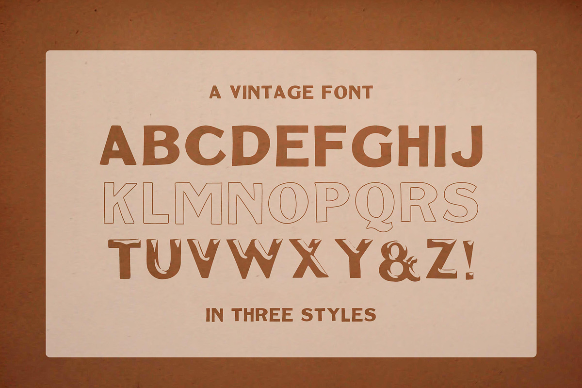 BS Thaddeus | Vintage Font Family, a Slab Serif Font by BS Type Co. (Photo 3 of 4)