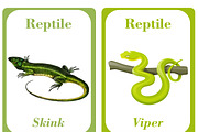 Reptiles Flash Cards Kids, a Card Template by DigitalsDesigns (Thumbnail 4 of 4)