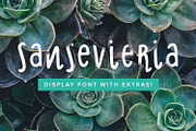 Sansevieria Display Font + Extras, a Sans Serif Font by Frisk Shop (Thumbnail 1 of 8)