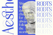 Alugfte Modern Display Serif, a Serif Font by timelesstype.co (Thumbnail 15 of 20)