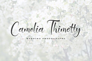 Jattestor, a Script Font by sabrcreative (Thumbnail 8 of 10)