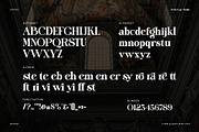 Mistesy Modern Serif Font, a Serif Font by Perfectype (Thumbnail 6 of 8)