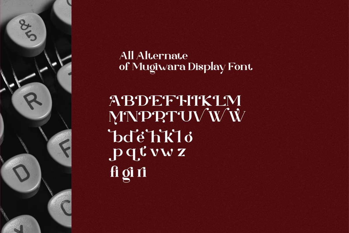 Mugiwara Swashy Serif, a Serif Font by Typegoals Studio (Photo 7 of 9)