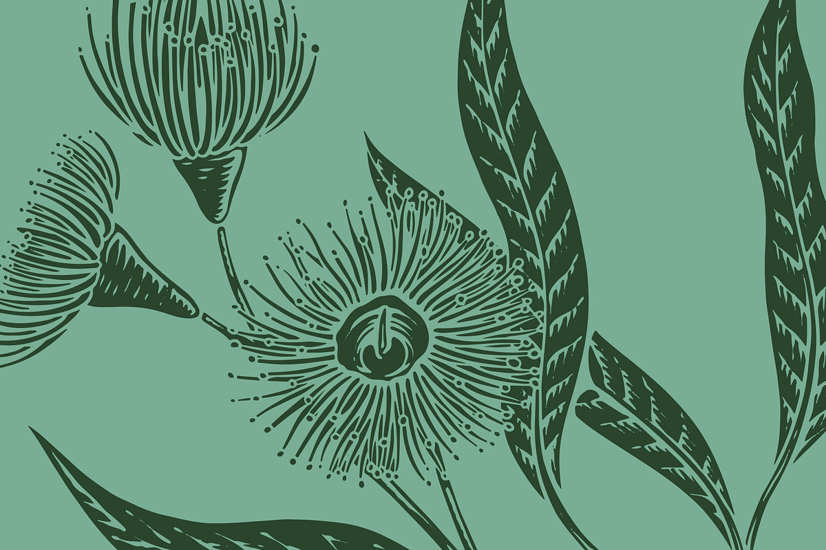 Eucalyptus Leaves & Blossom, an Animal Illustration by Electric Ink (Photo 2 of 3)