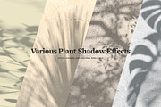 Shadow Backdrops Videos Collection, a Mockup by rebrandy (Thumbnail 7 of 20)