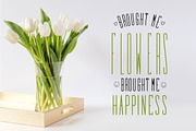 Elegant - Font Collection - 7 Fonts, a Sans Serif Font by CorgiAstronaut (Thumbnail 33 of 41)