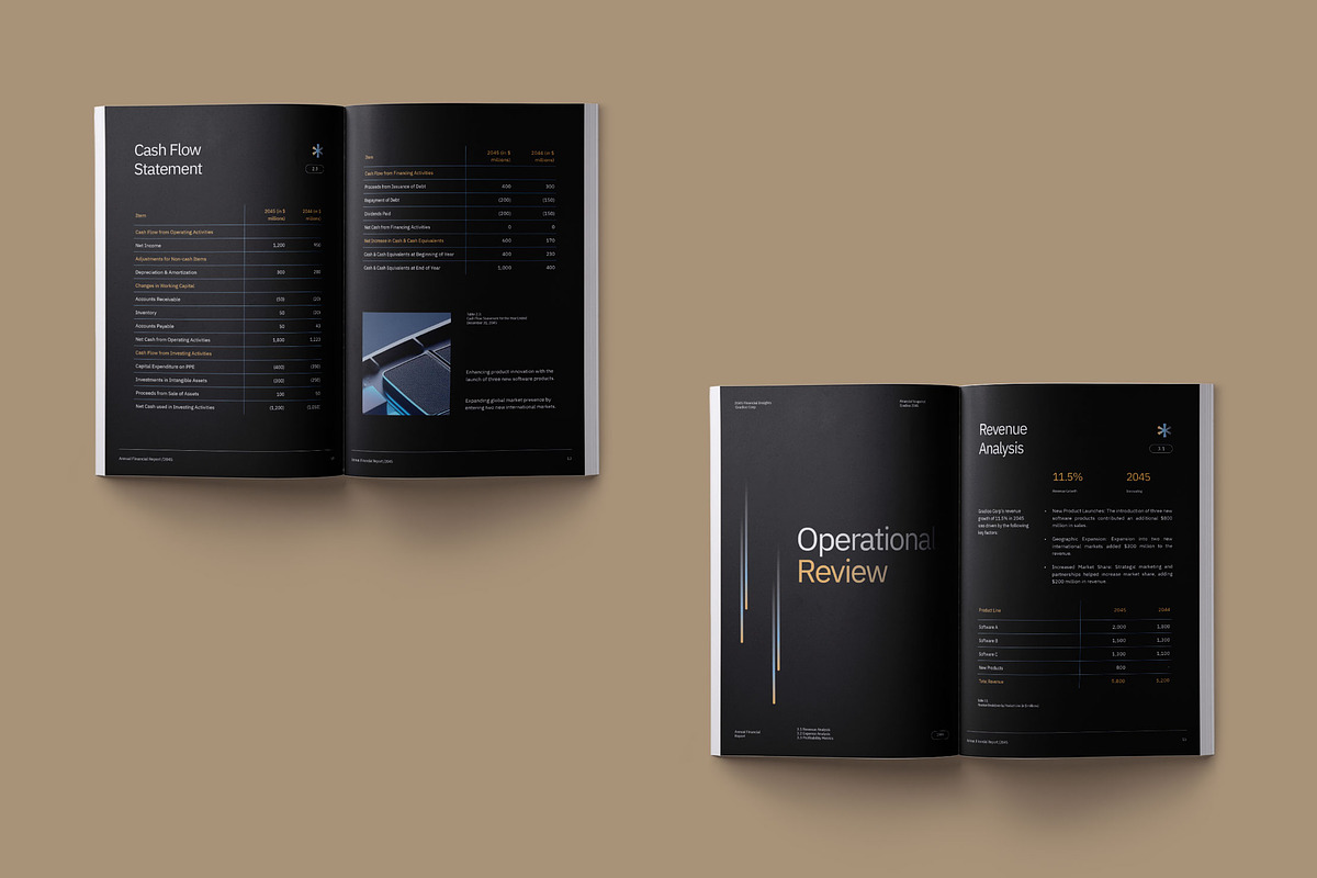 Annual Financial Report - Gradioo preview 4