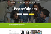 Adviseme - Business Wordpress Theme, a WordPress Template by Cherry Wordpress Theme (Thumbnail 2 of 6)