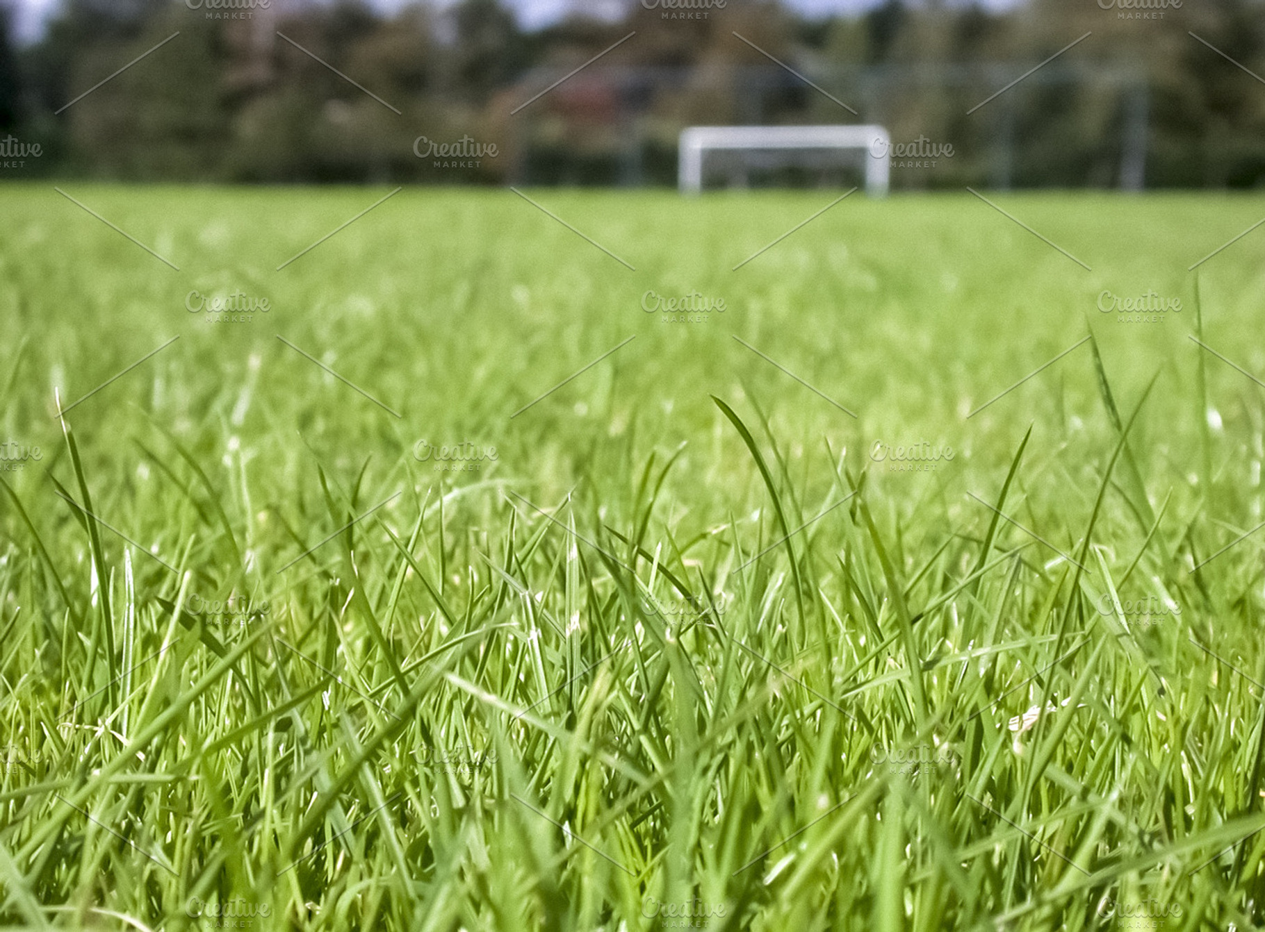 Soccer field containing soccer, depth of field, and grass