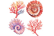 Coral Reef Clipart Bundle, an Illustration by Pixels.Craft (Thumbnail 8 of 8)