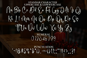 Hopefull Valentine, a Handwritten Font by FreshTypeINK (Thumbnail 8 of 8)