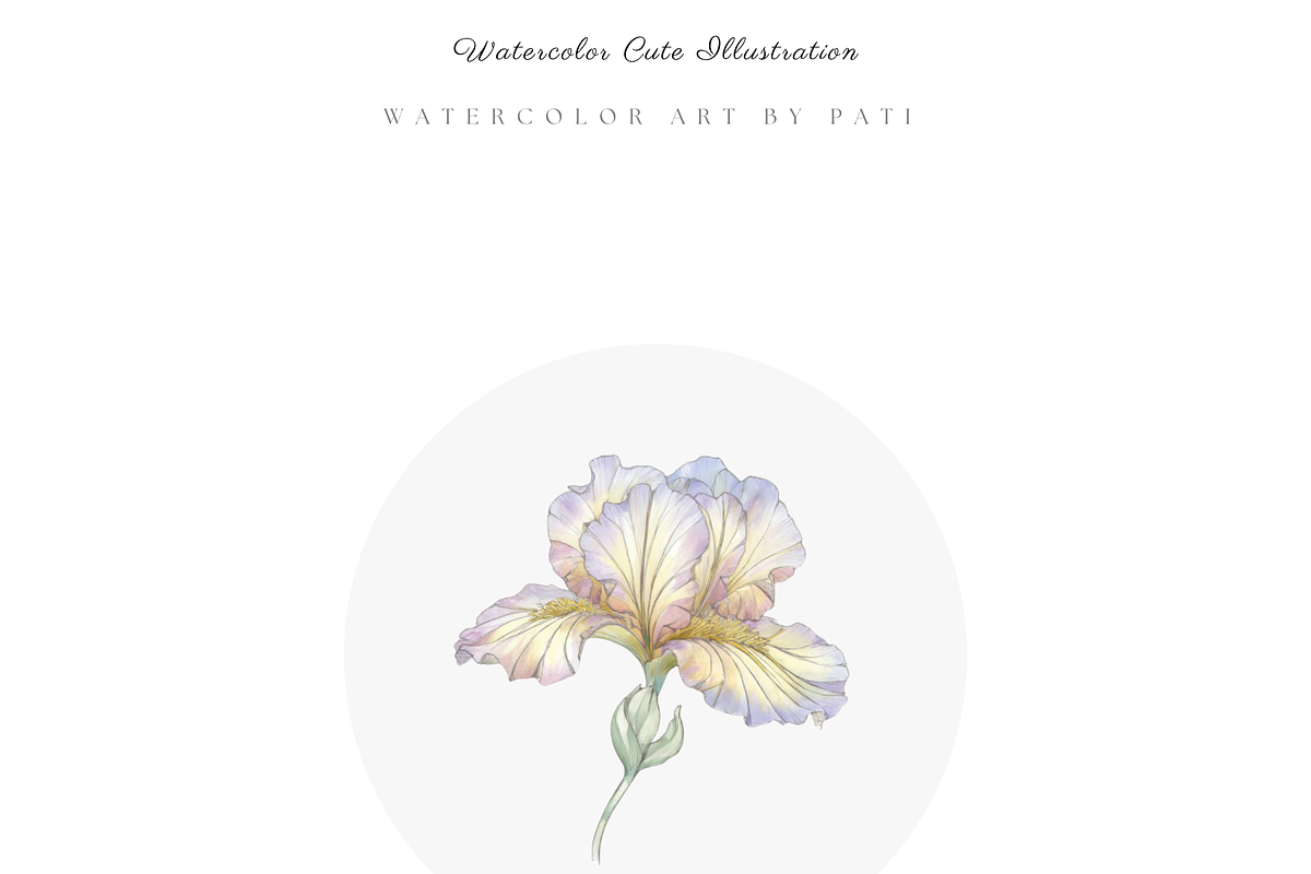 Vintage Floral Songbirds Clipart Set, a Decorative Illustration by Pati Paints (Photo 4 of 11)