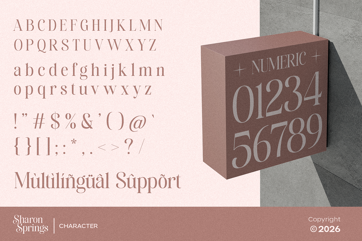 Sharon Springs, a Serif Font by Dora Typefoundry (Photo 9 of 11)