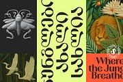 TA Solivare Variable, a Sans Serif Font by TAFT Foundry (Thumbnail 13 of 15)