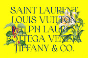 Eleyna Rough, a Serif Font by Craft Supply Co. (Thumbnail 2 of 8)