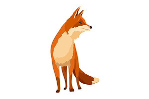 Red fox. Funny character, forest, an Animal Illustration by the8monkey