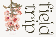 Selukar - Vintage Display Serif Font, a Serif Font by Artflorara (Thumbnail 13 of 15)
