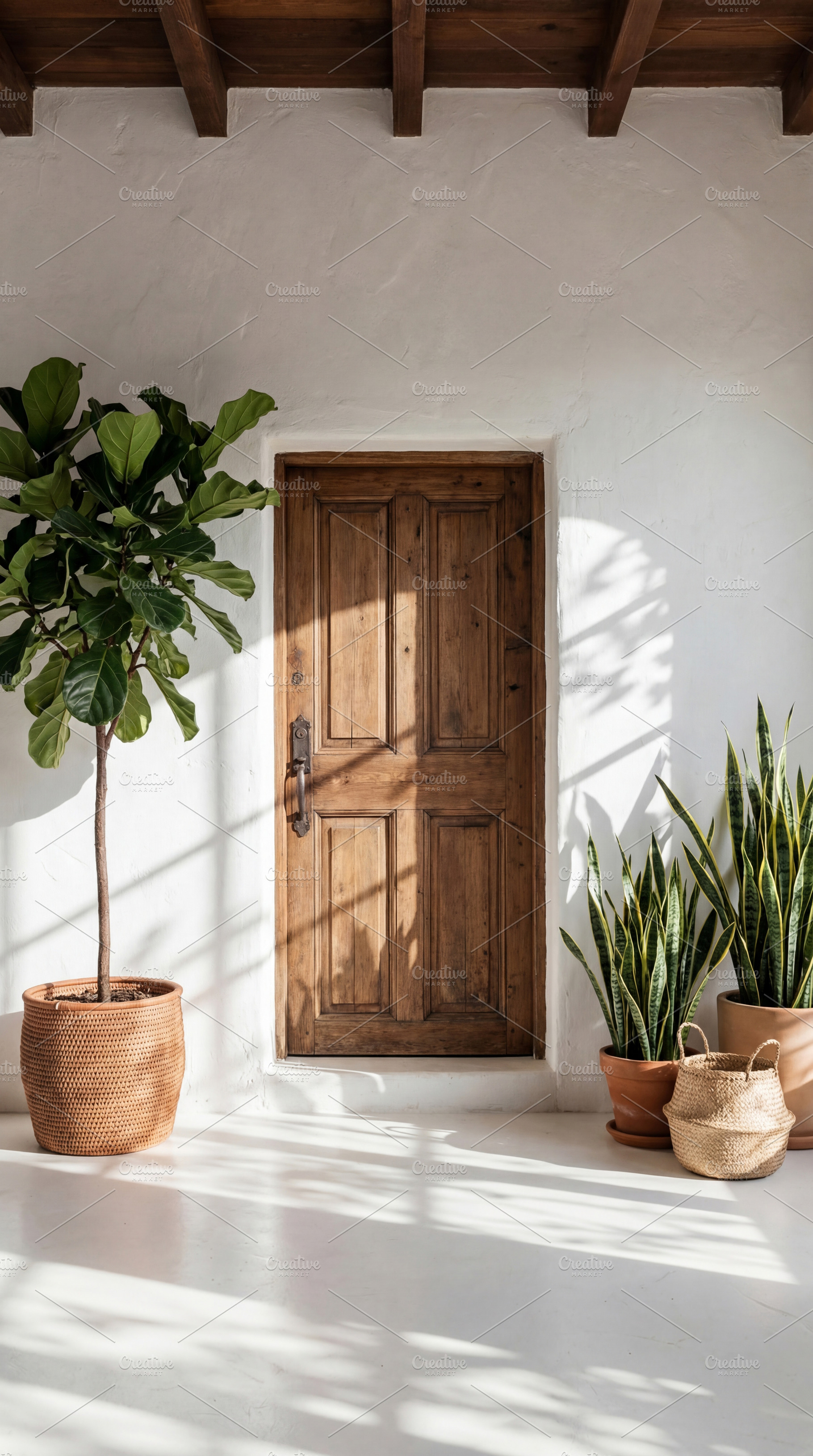 Rustic Wooden Door with Potted Plant, an Architecture Photo by Virgo Studio